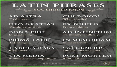 A Profile Of A Latin Beauty